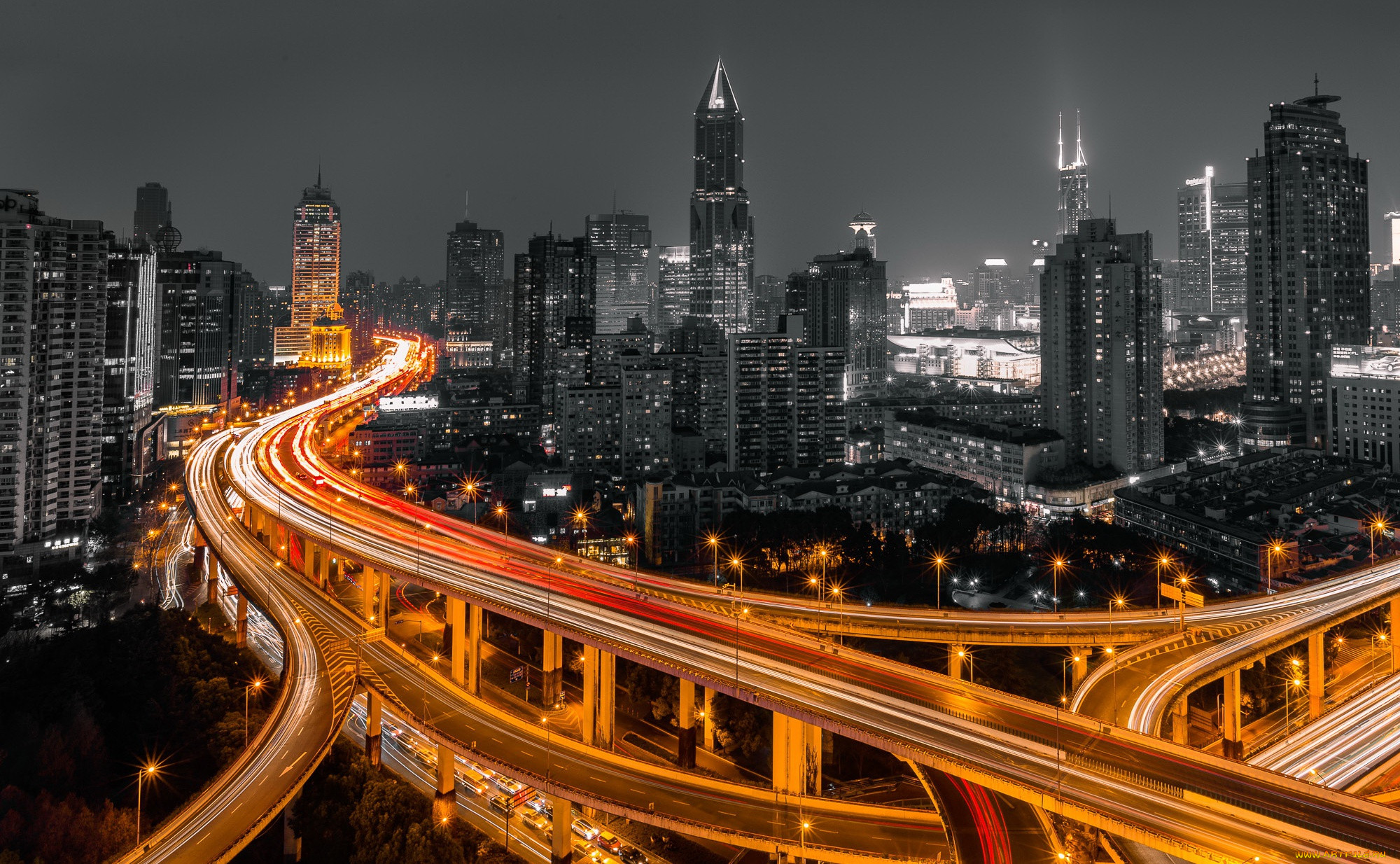,  , , china, shanghai, golden, and, black